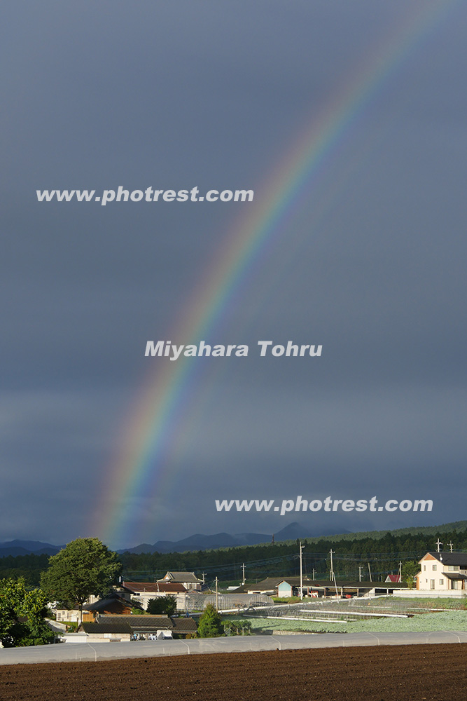 夏の虹の写真素材 写真の森 フォレスト