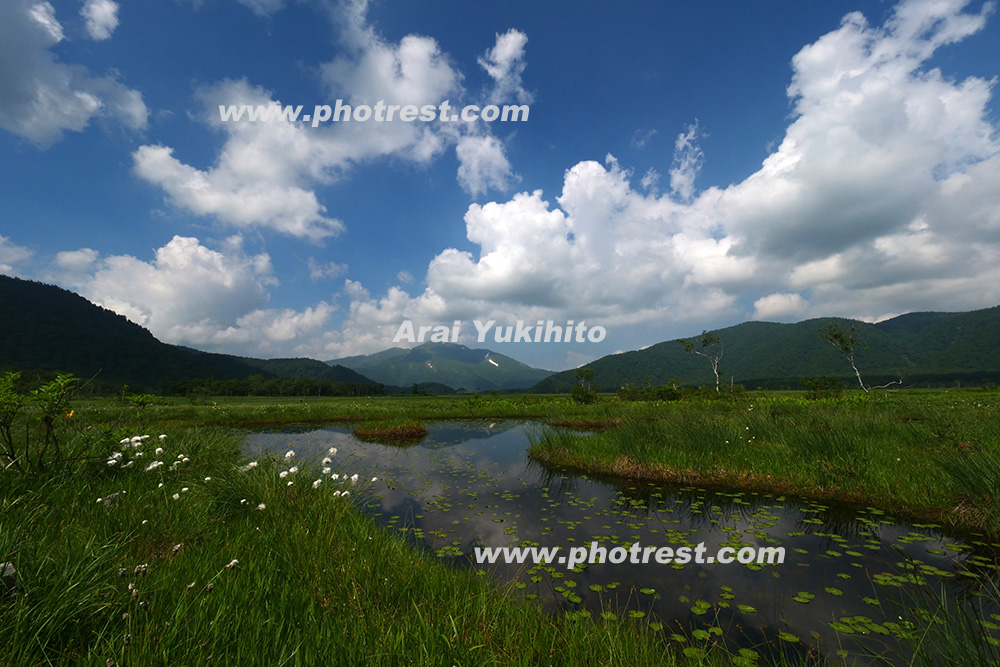 夏の尾瀬ヶ原の写真素材またはオリジナルプリント 写真の森 フォレスト