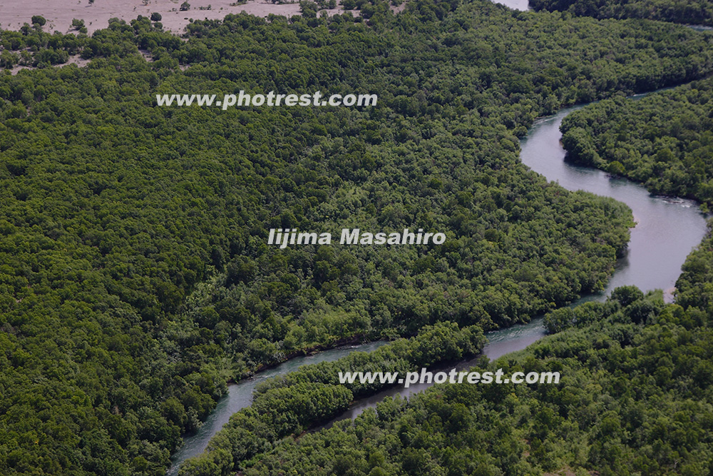 カムチャツカの森の空撮の写真素材 写真の森 フォレスト