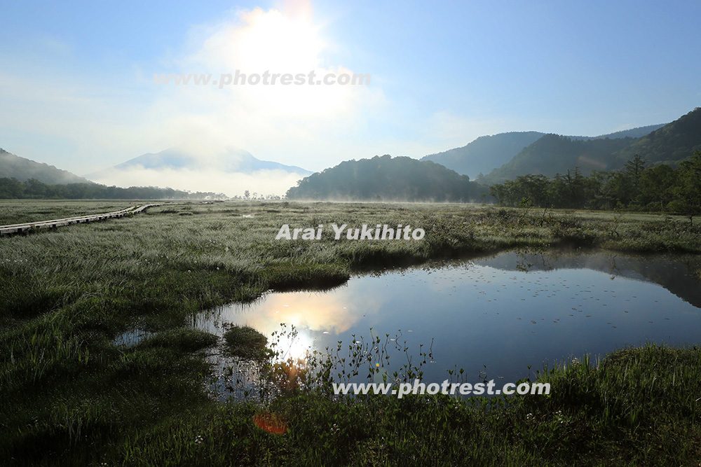 夏の尾瀬ヶ原の写真素材またはオリジナルプリント 写真の森 フォレスト